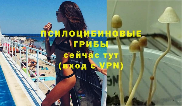 а пвп мука Нея
