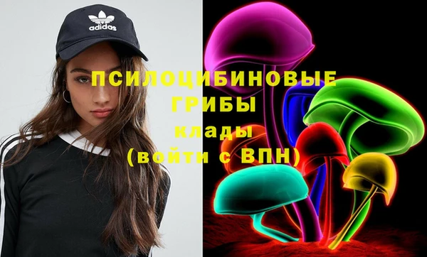 apvp Волгодонск