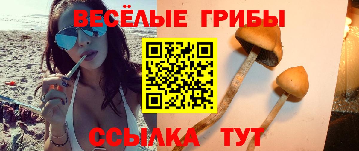 Воронеж  дарнет шоп  Галлюциногенные грибы мухоморы  Вход с VPN  Галлюциногенные грибы MAGIC MUSHROOMS 